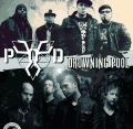 P.O.D/DROWNING POOL - совместный концерт в ROCK CITY