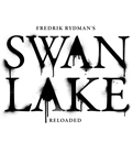 Swan lake. Reloaded.  . 